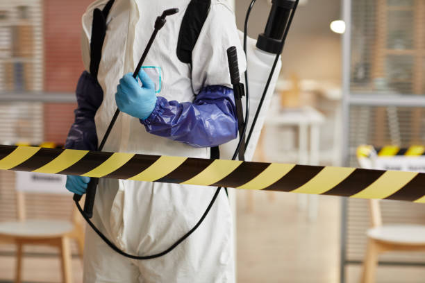 Professional Sewage Cleanup technician working in Newport, KY
